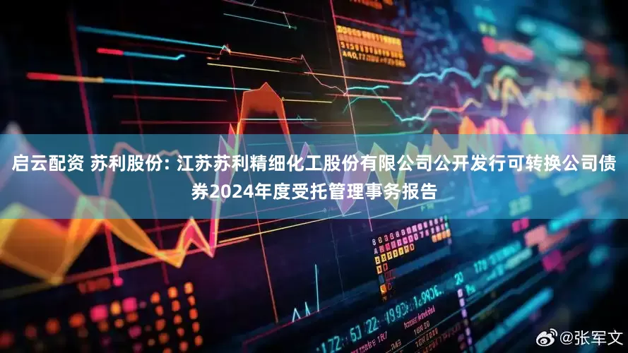启云配资 苏利股份: 江苏苏利精细化工股份有限公司公开发行可转换公司债券2024年度受托管理事务报告