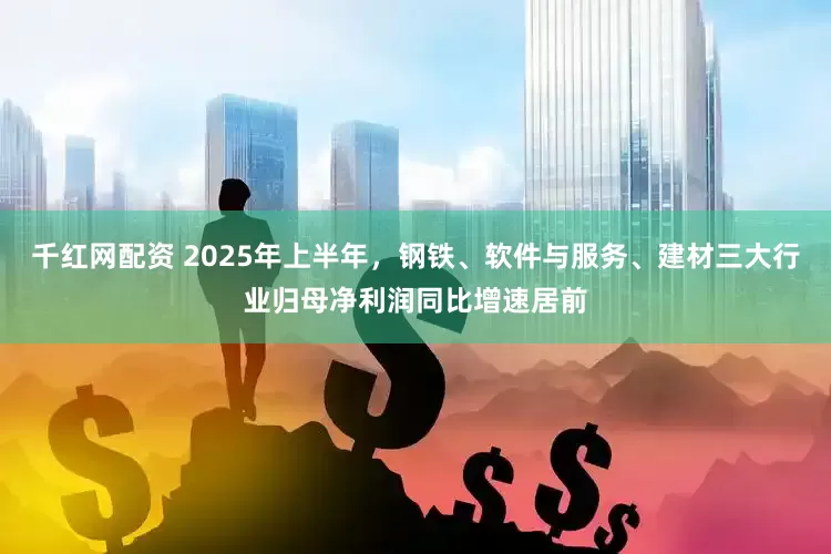 千红网配资 2025年上半年，钢铁、软件与服务、建材三大行业归母净利润同比增速居前